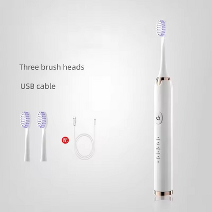 Brosse à dents électrique (modèle rechargeable)
