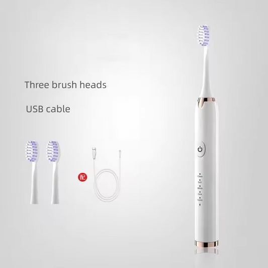 Brosse à dents électrique (modèle rechargeable)